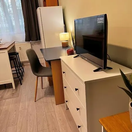 Boho Nest Quiet Modern Studio