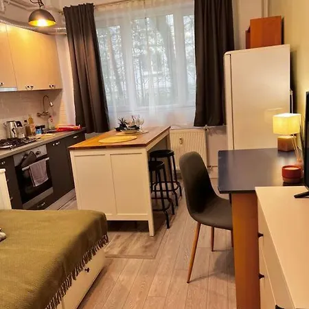 Apartament Boho Nest Quiet Modern Studio Cluj-Napoca